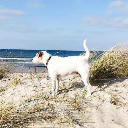 Deichtraum * Brasilien