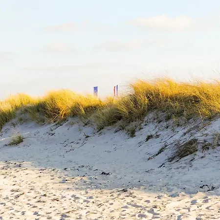 Dom wakacyjny Deichtraum Brasilien