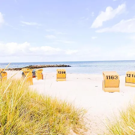 Deichtraum Brasilien