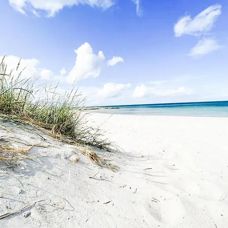 Deichtraum Dom wakacyjny *